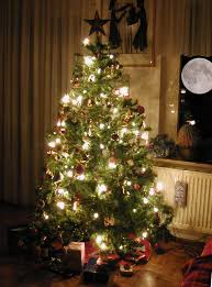 A karácsonyfa kiválasztása